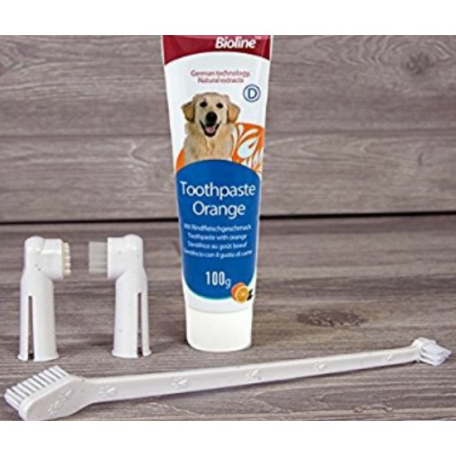 Bioline dental set care Shopee Philippines