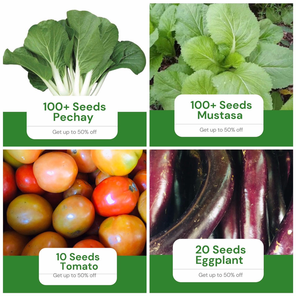 All in 4 in 1 Pack Vegetable Seeds (100 Pechay, 100 Mustasa, 10 Kamatis