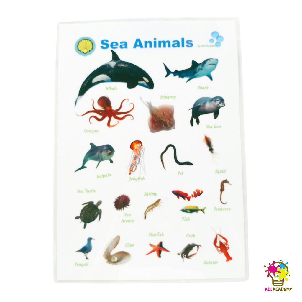 Sea Animals Educational Chart | Shopee Philippines