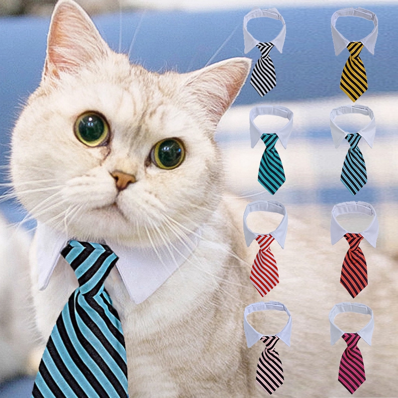 neck tie for cat