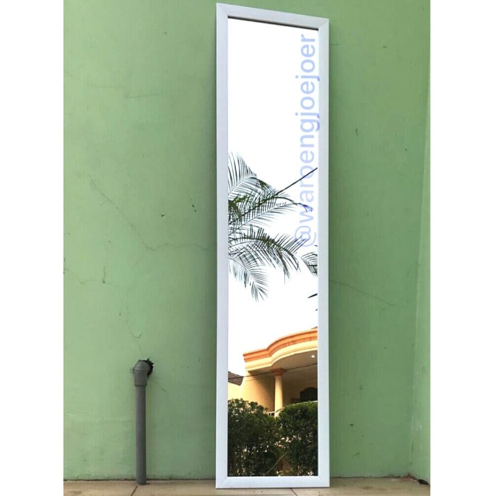 Gam&x ^ Mirror Hanging White FULL BODY Mirror K