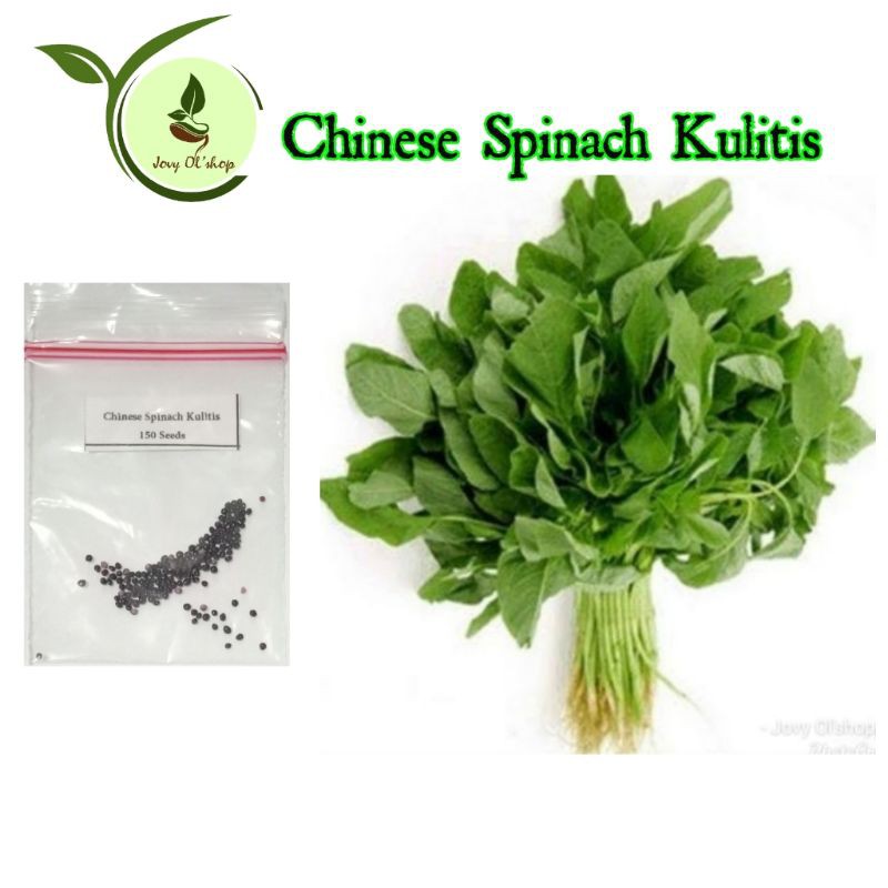 Chinese Spinach kulitis 150 seeds Shopee Philippines