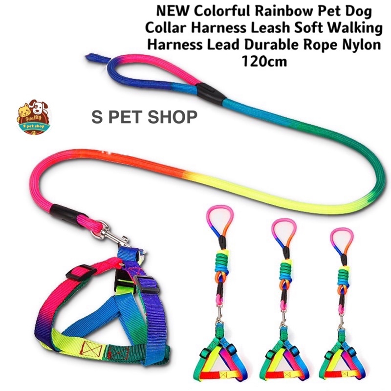 Classycoo Dog Harness Leash Set,Adjustable Heavy Duty Walking Harnesses Leash with Padded Handle in Puppy Basic Harness for Small Medium Large Dogs-Rainbow 