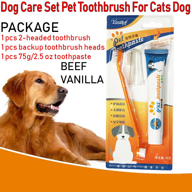 dog cleaning products