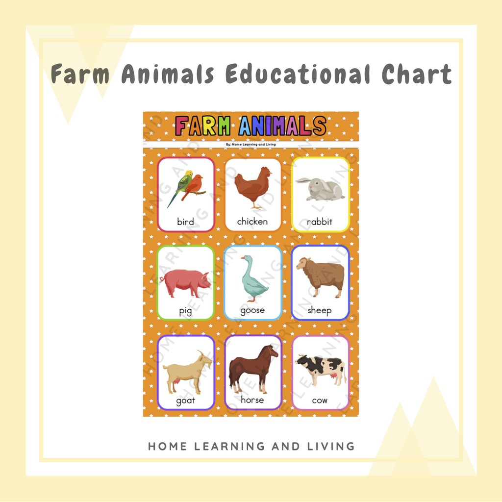 Farm Animals Educational A4 Chart & Poster for Preschool & Kindergarten ...