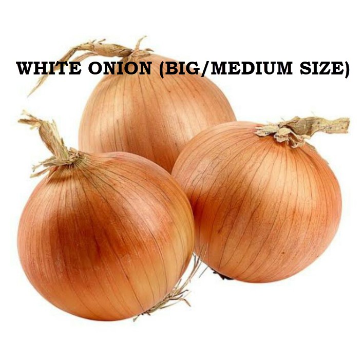 White Onion / Fresh Sibuyas na Puti 1 kilo (1000Grams) Shopee