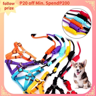 off lead dog training