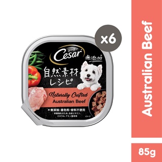 CESAR Natural Crafted Premium Dog Food in Australian Beef Flavor for Adult Dogs (6-Pack), 85g.