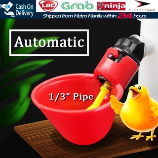 ♨【Fast Delivery】Automatic Quail Drinker Chicken Waterer Bowl Water Feeding Cup Pigeon Farm Drinker