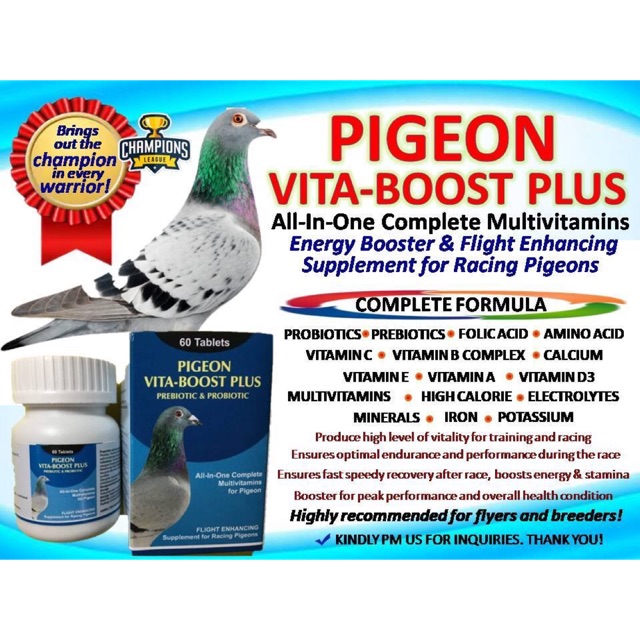 racing pigeons supplies