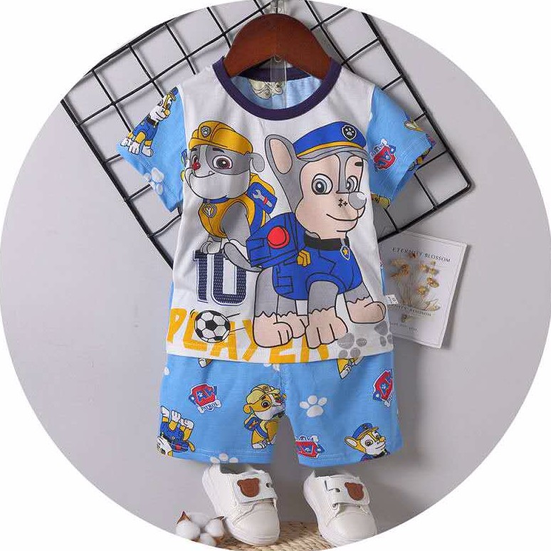 paw patrol divisoria