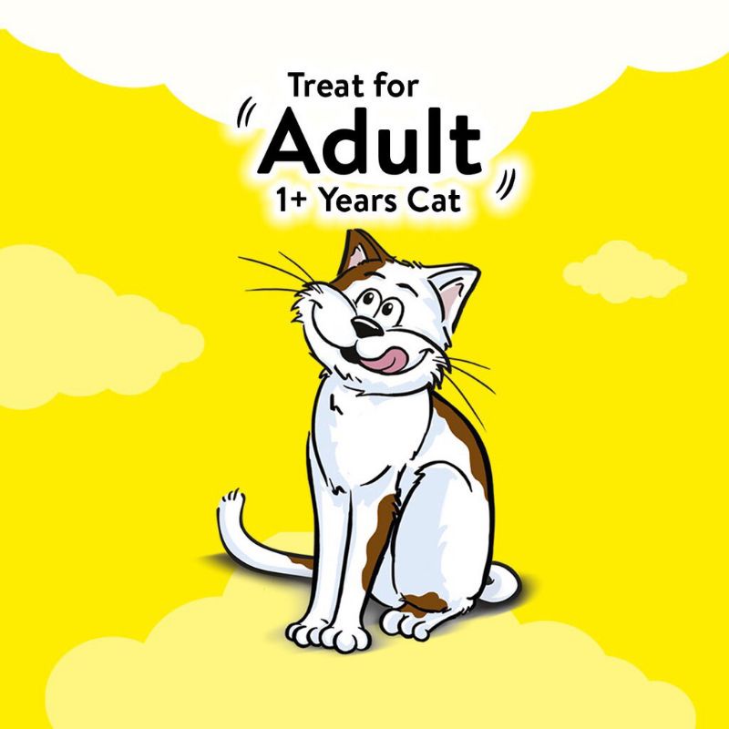 Temptations tempting tuna flavours cats treats foods #5