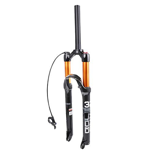 bolany dual air fork