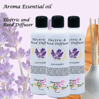 Champagne Magnolia Lavender Aroma Essential Oil for Electric & Reed Diffuser