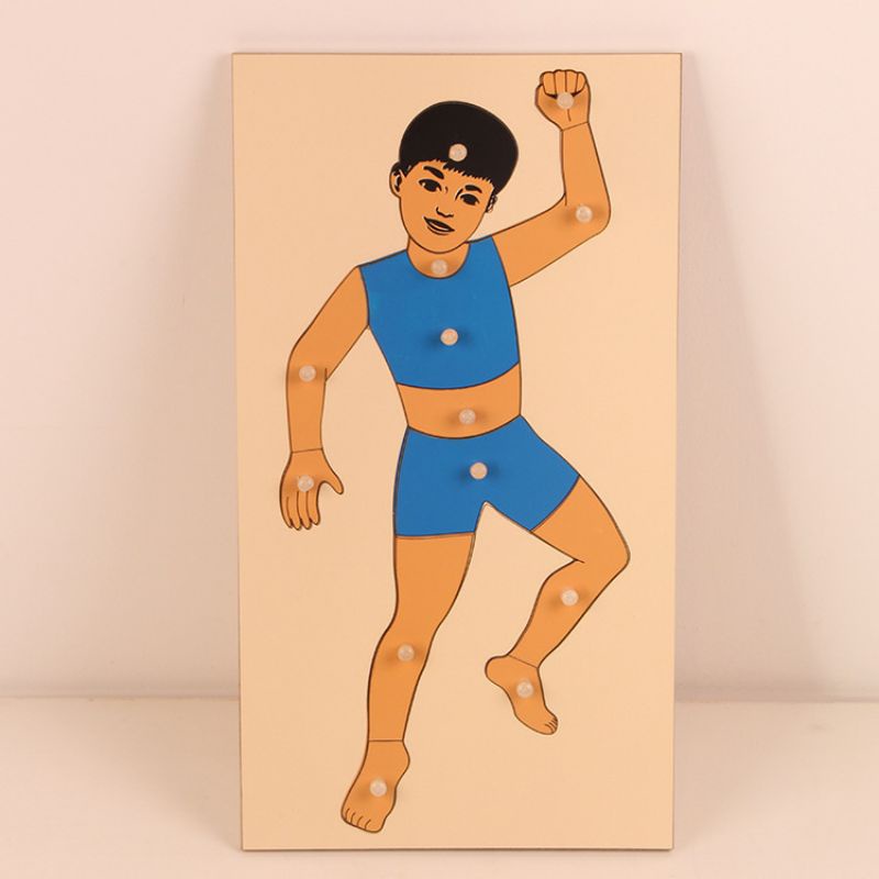 Wooden Body Parts Puzzle Human Body Puzzle for Toddlers Kids Preschool