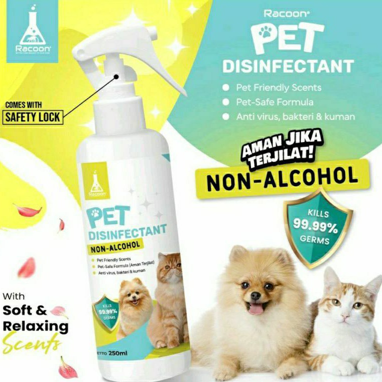 Racoon Pet Disinfectant Alcohol Free / Disinfectant Dogs, Cats, Etc