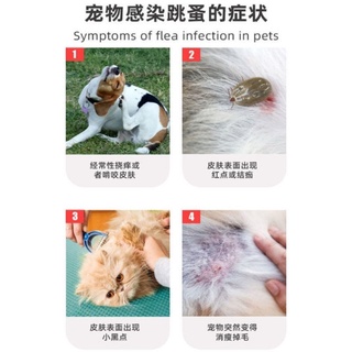 Pet flea removal Ticks removal Insect repellent◐▣Cat ring dog ring in addition to flea anti-lice cat