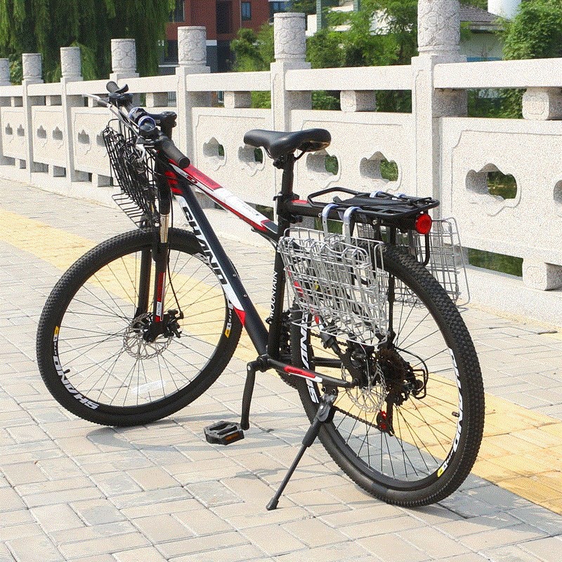 basket pannier