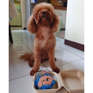Bento size Personalized Dog Cake #8