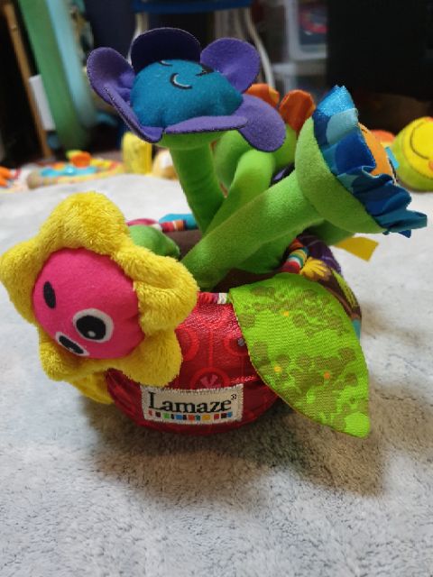 lamaze musical flowers