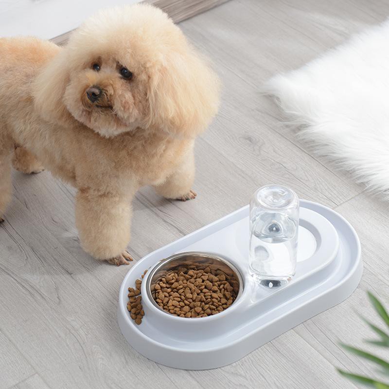 dog automatic water dispenser