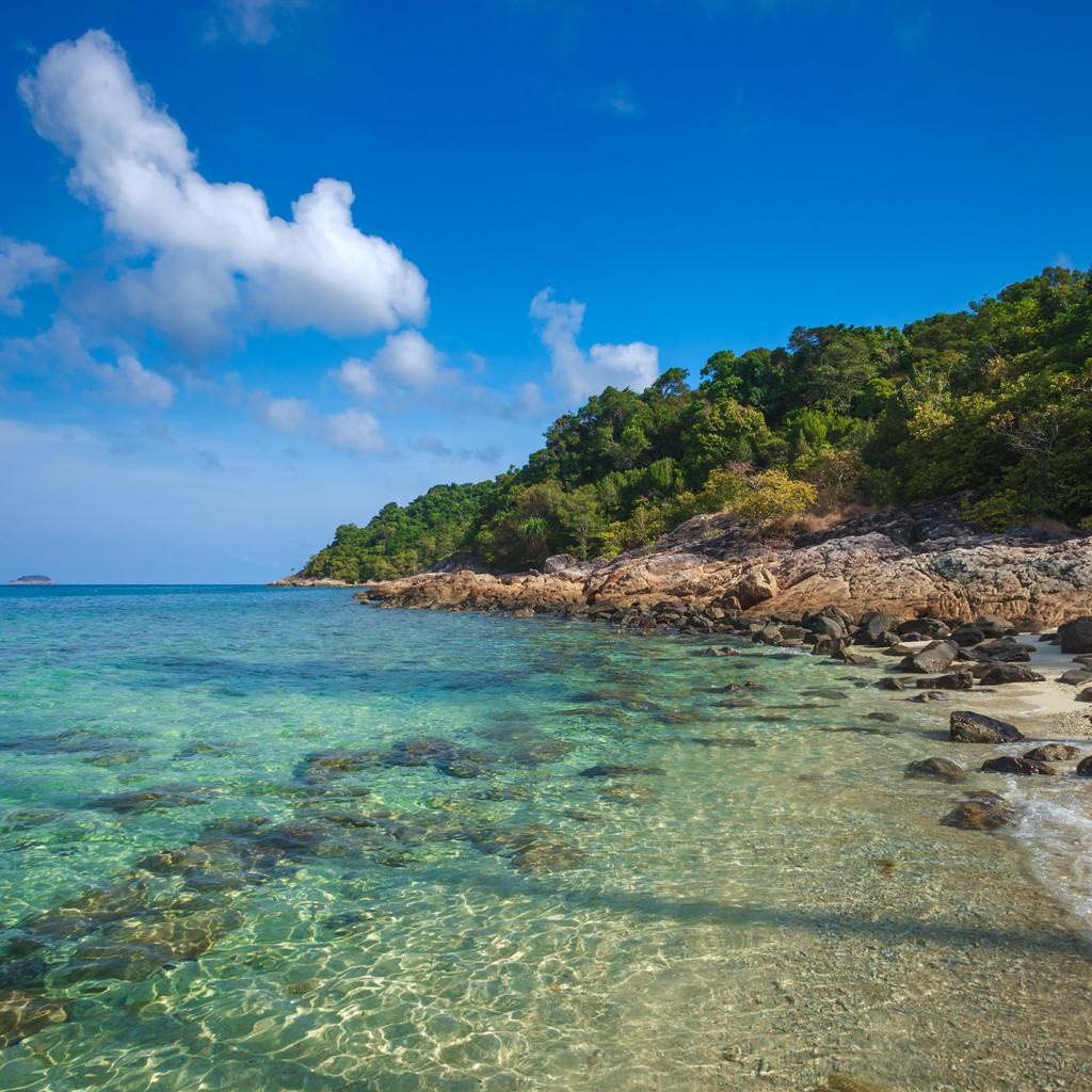 GB Pet clothes, Online Shop Shopee Philippines