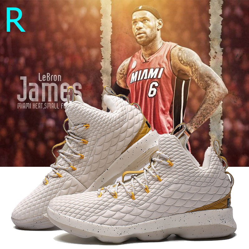 what shoe size is lebron james