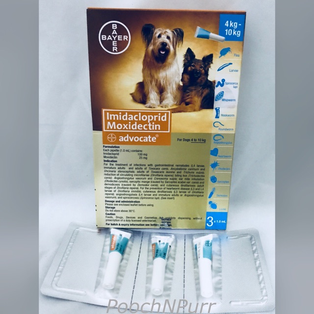 advocate bayer demodex