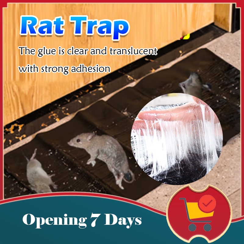 Large Mouse Glue Traps with Enhanced Stickiness Snake Mouse Traps ...