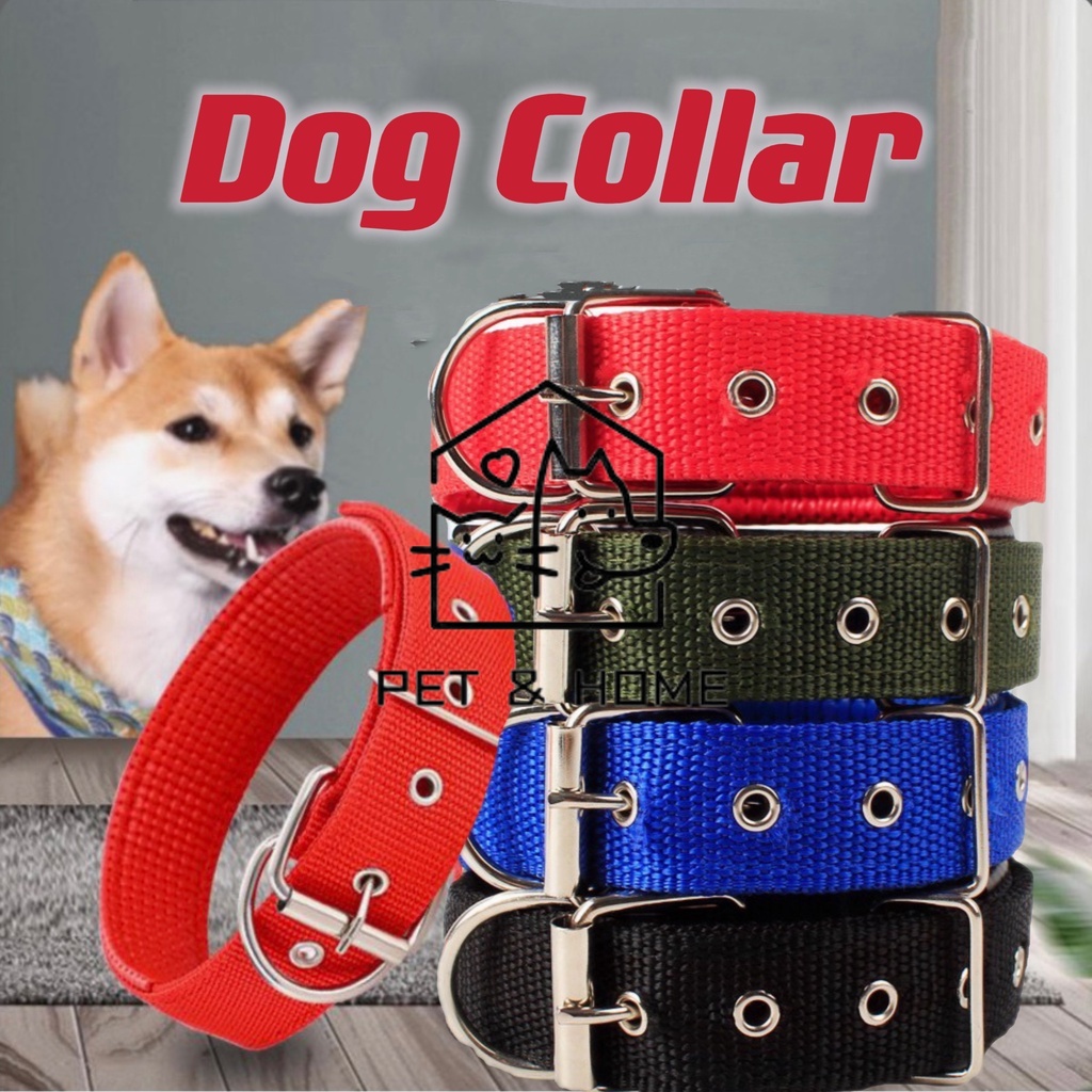 PET & HOME Pet collar for dog pet collar dog collar heavy duty dog collar personalized Shopee