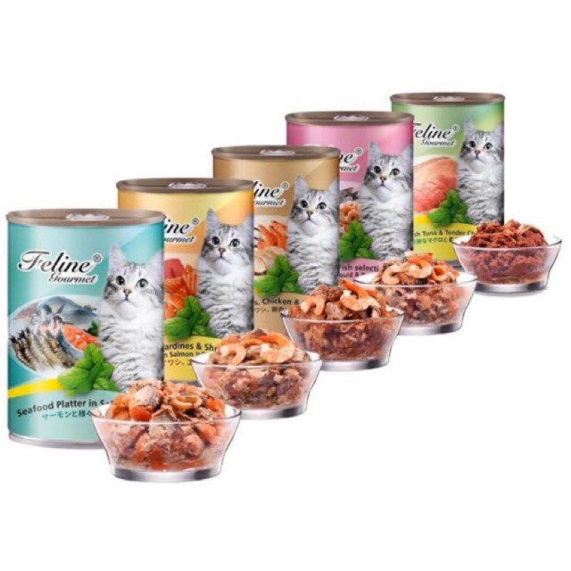 Feline Gourmet Wet Cat Food Pet Plus 400g Shopee Philippines