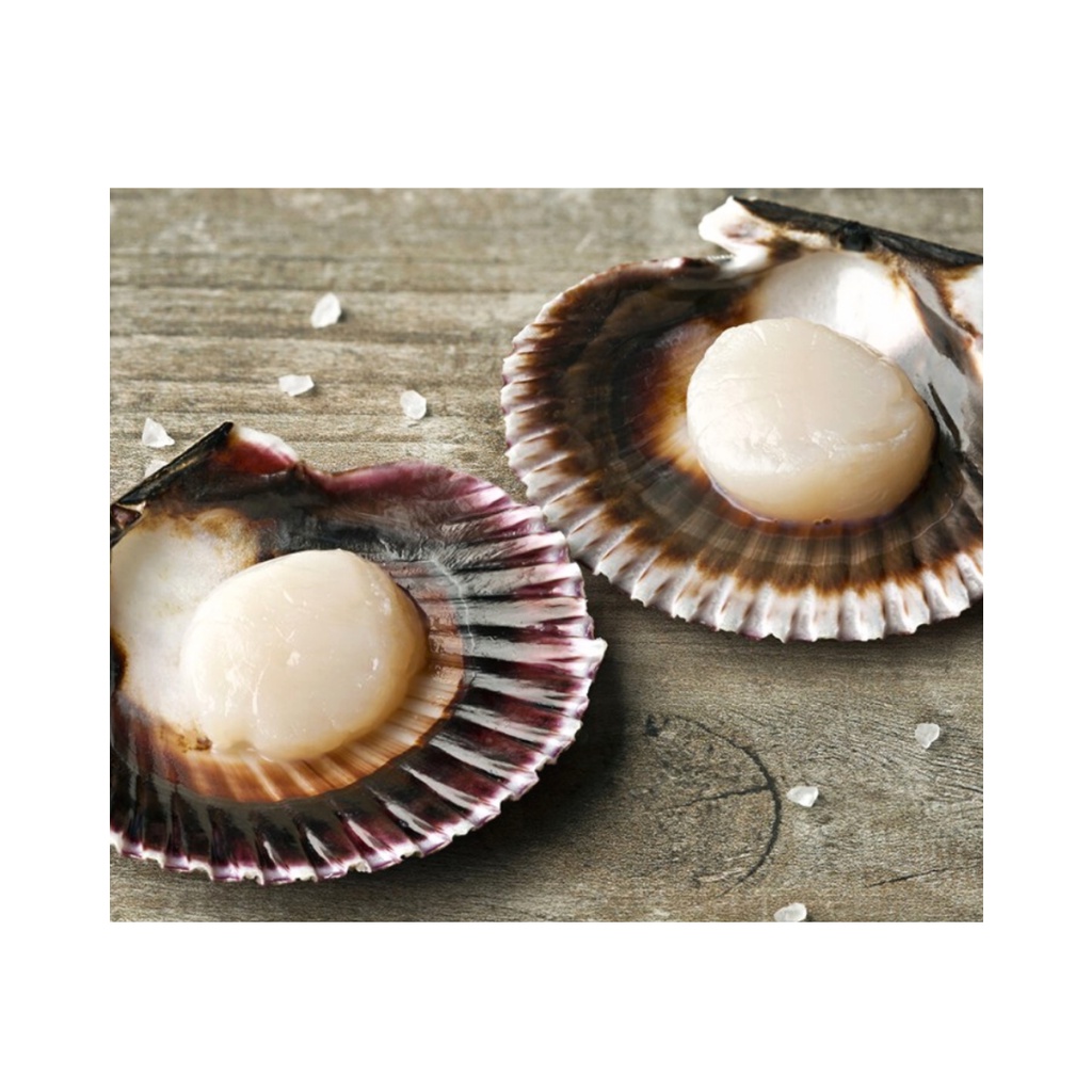 Seafood Scallops Half Shelled 500g Shopee Philippines