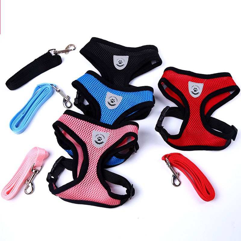 Cute Dog Harness Puppy Fashion Mesh Vest + Leash Lead Set Shopee