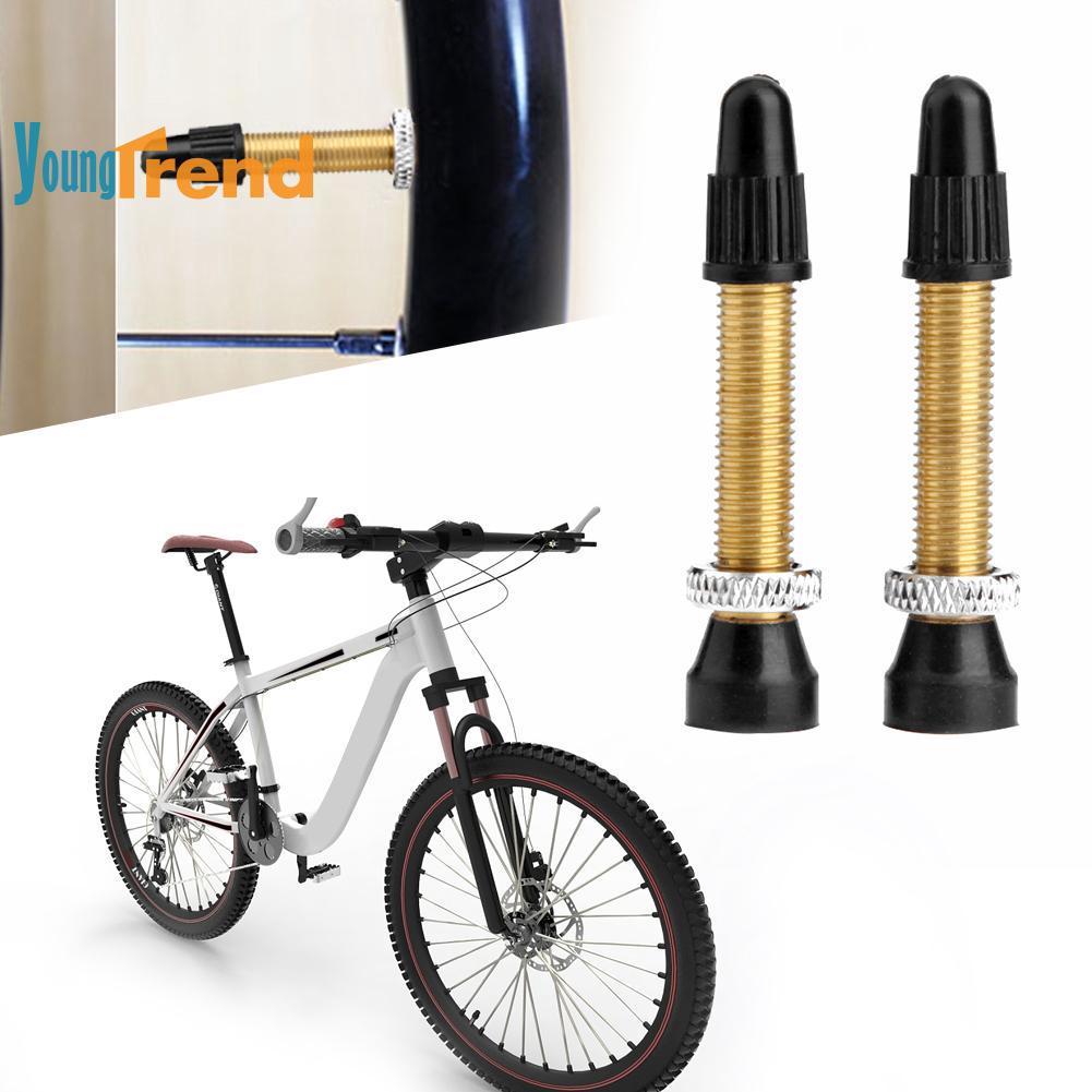 tubeless bike valve stems