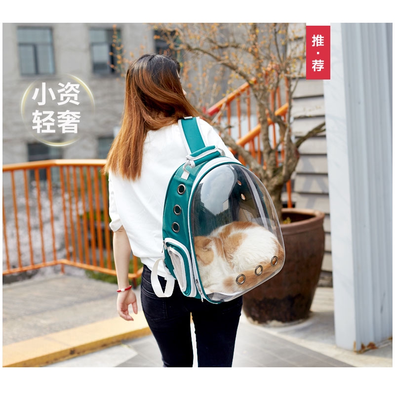 backpack for cat to wear