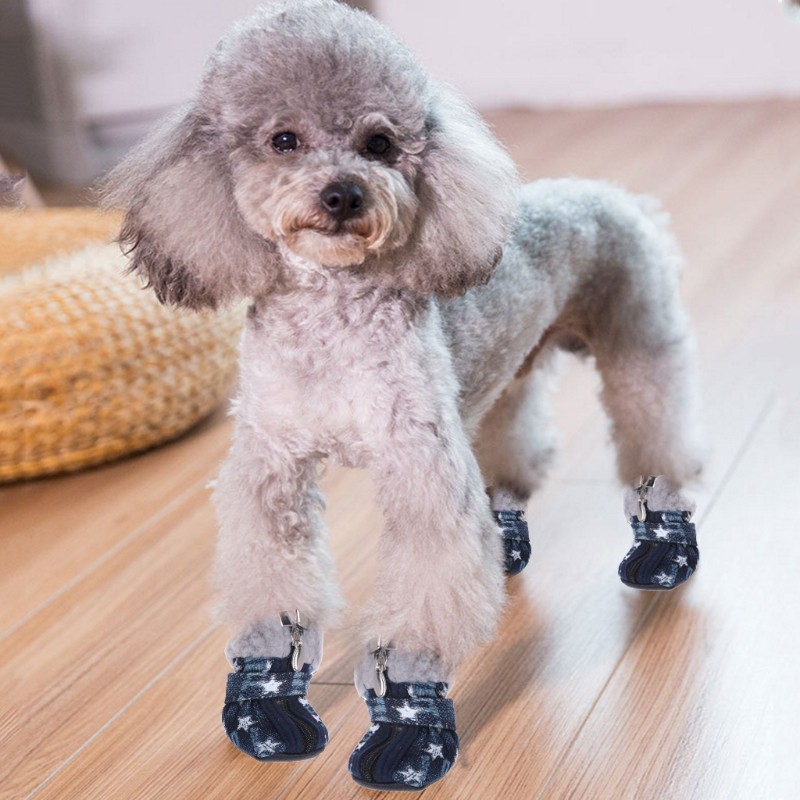 shoes with dogs