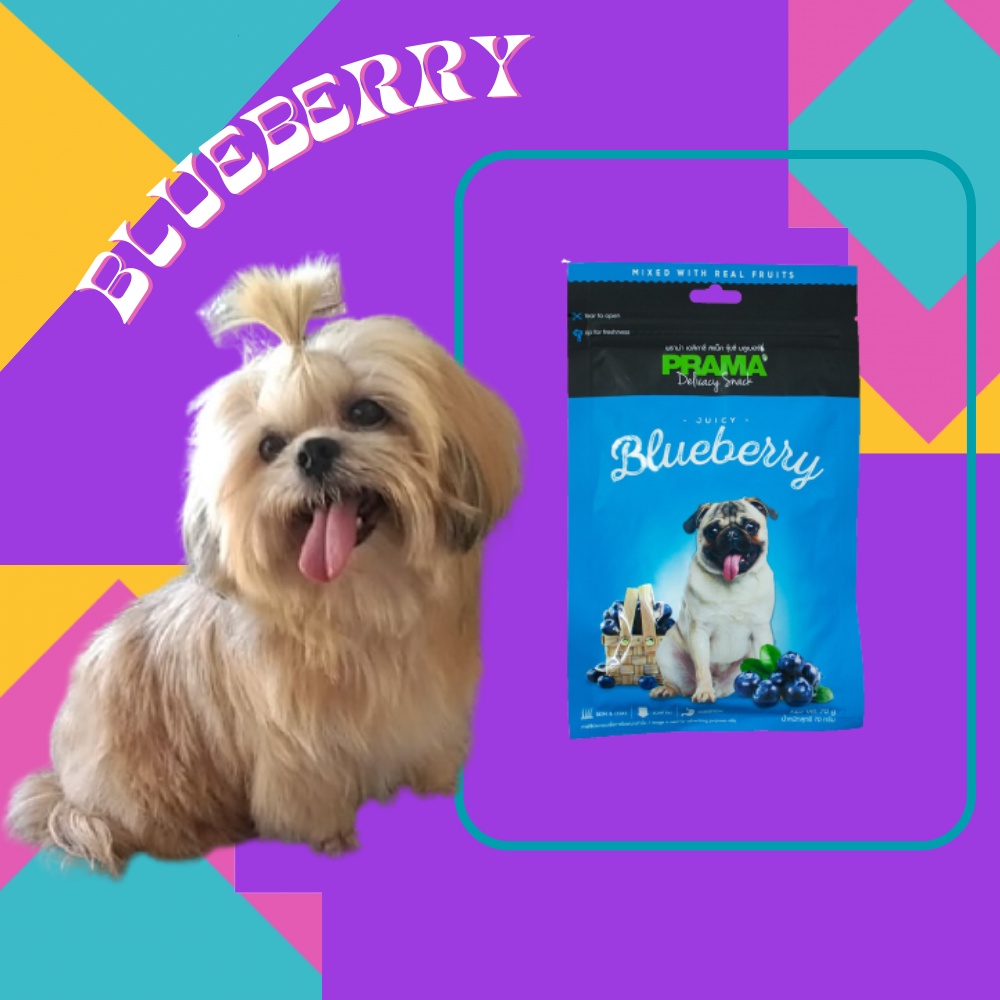 PRAMA BLUEBERRY DOG TREATS 70G Shopee Philippines