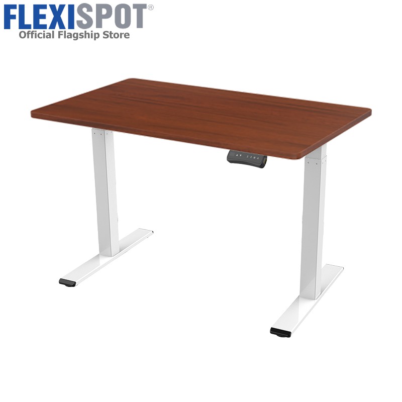 FlexiSpot E1N Electric Ergonomic HeightAdjustable Standing Desk 2