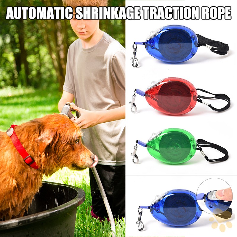 sporting dog supplies