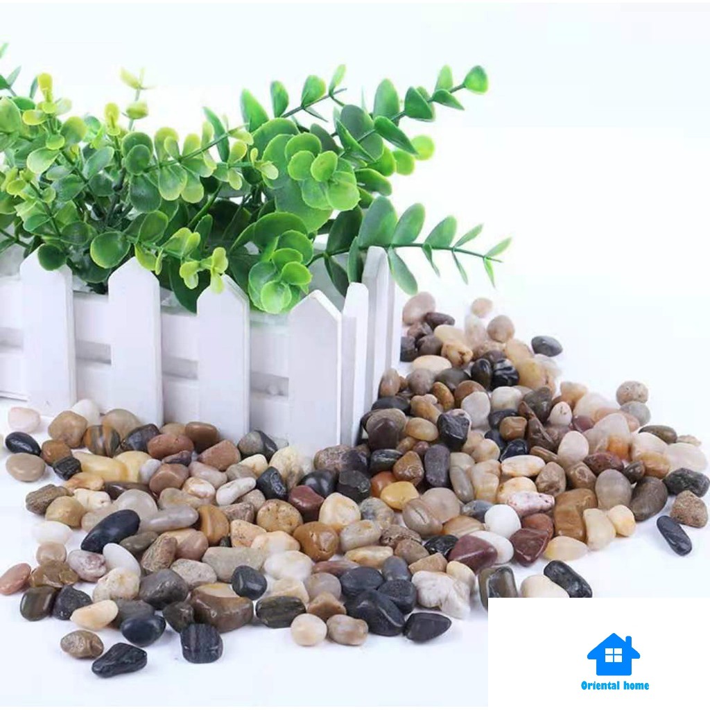 River Pebbles for Garden Decorative Stones for Vase Plants, Terrarium