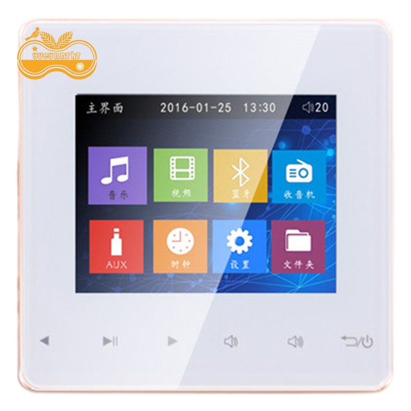 ceiling stereo system