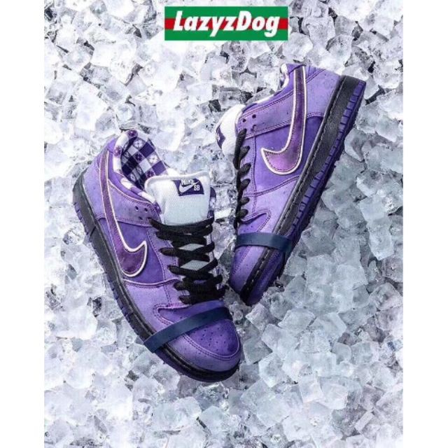 purple lobster sb