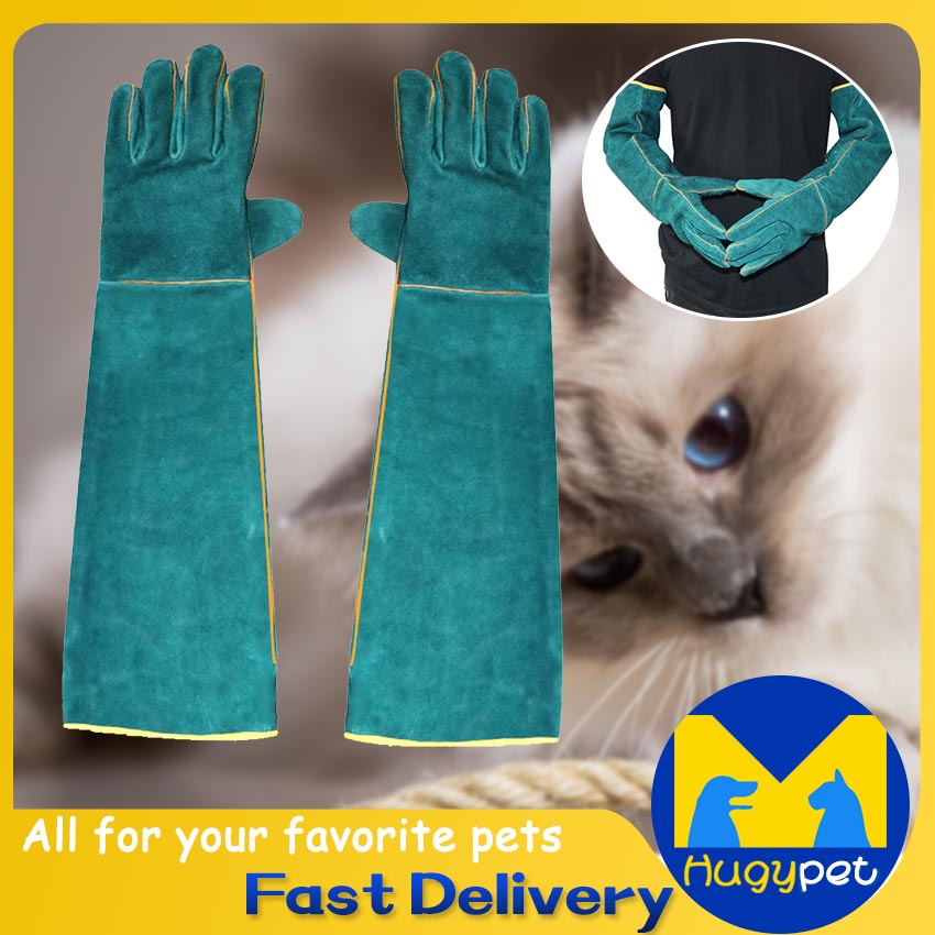 cat gloves Best Prices and Online Promos Feb 2023 Shopee Philippines