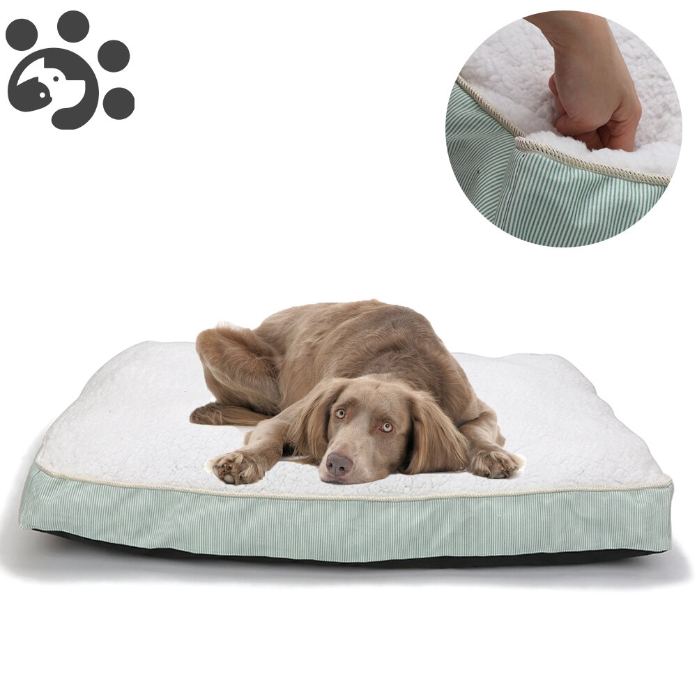 small dog beds