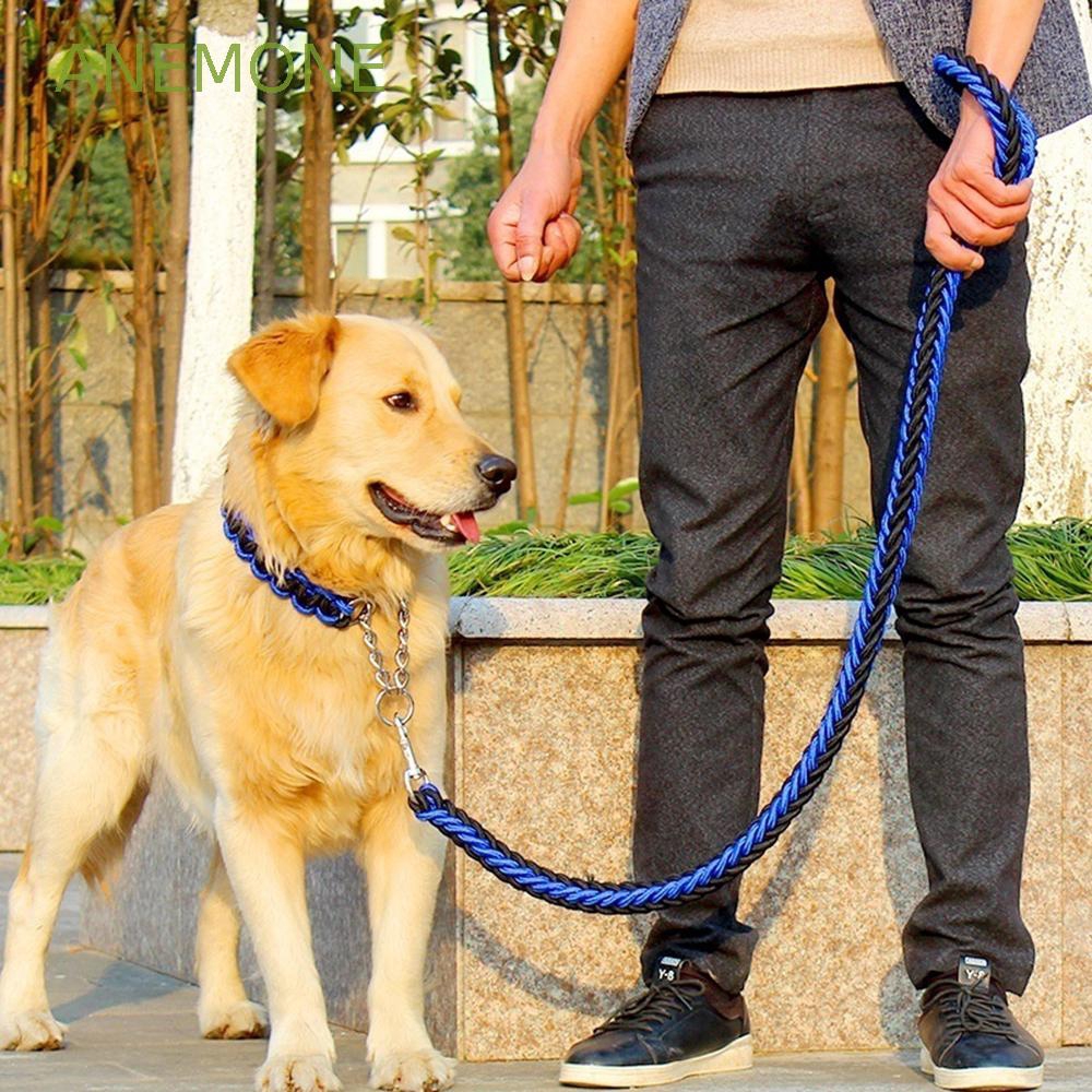 long outdoor dog leash