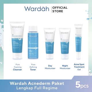 Wardah Acnederm Acne Spot Treatment Gel 15 | Shopee Philippines