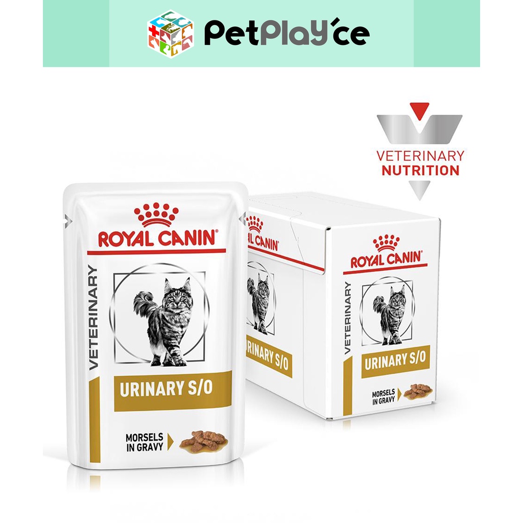 canin urinary so cat food
