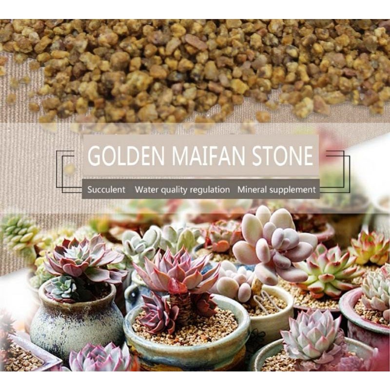 Maifan / Masato Stone (36mm) Soil Ammendment (500g) Shopee Philippines