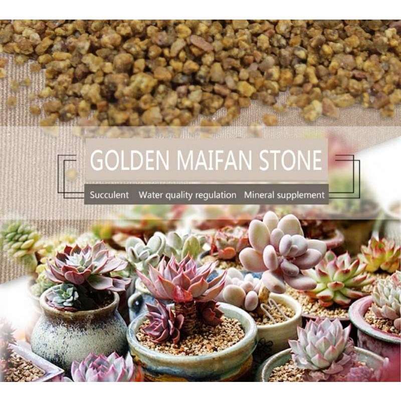 Maifan / Masato Stone (3-6mm) Soil Ammendment (500g) | Shopee Philippines