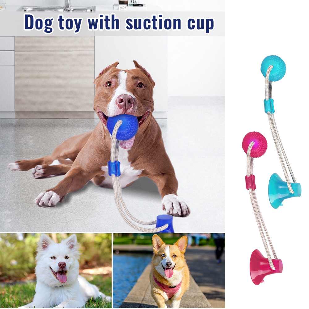 suction cup rope toy for dogs